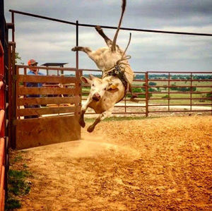 Meet your Posher, Alfredo